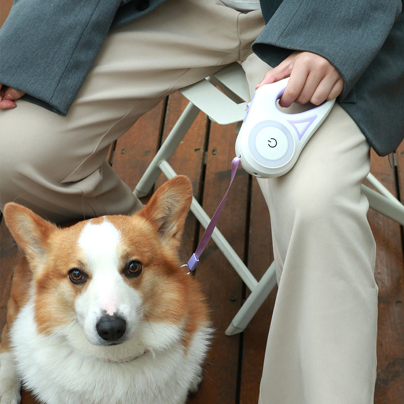 Retractable Dog Leash and Collar with Spotlight