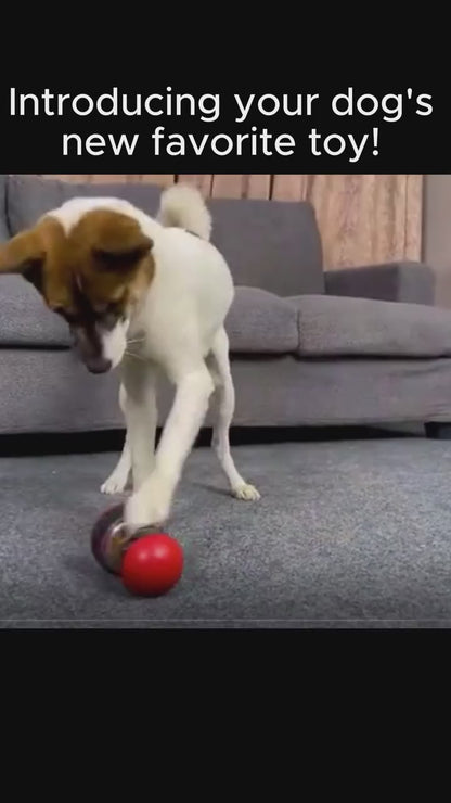 Interactive Food Dispensing Dog Toy – Tumbler Puzzle Feeder